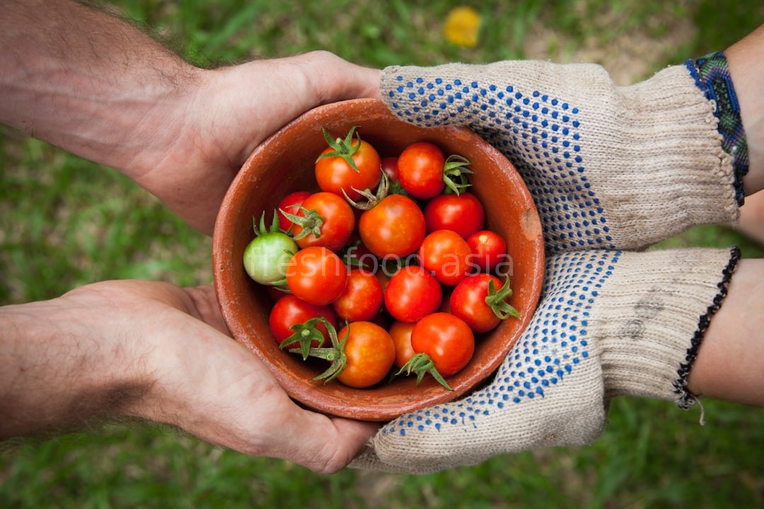 Farm Herbs